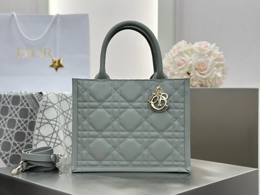 디올 스몰 북 토트백 매크로까나쥬 그레이