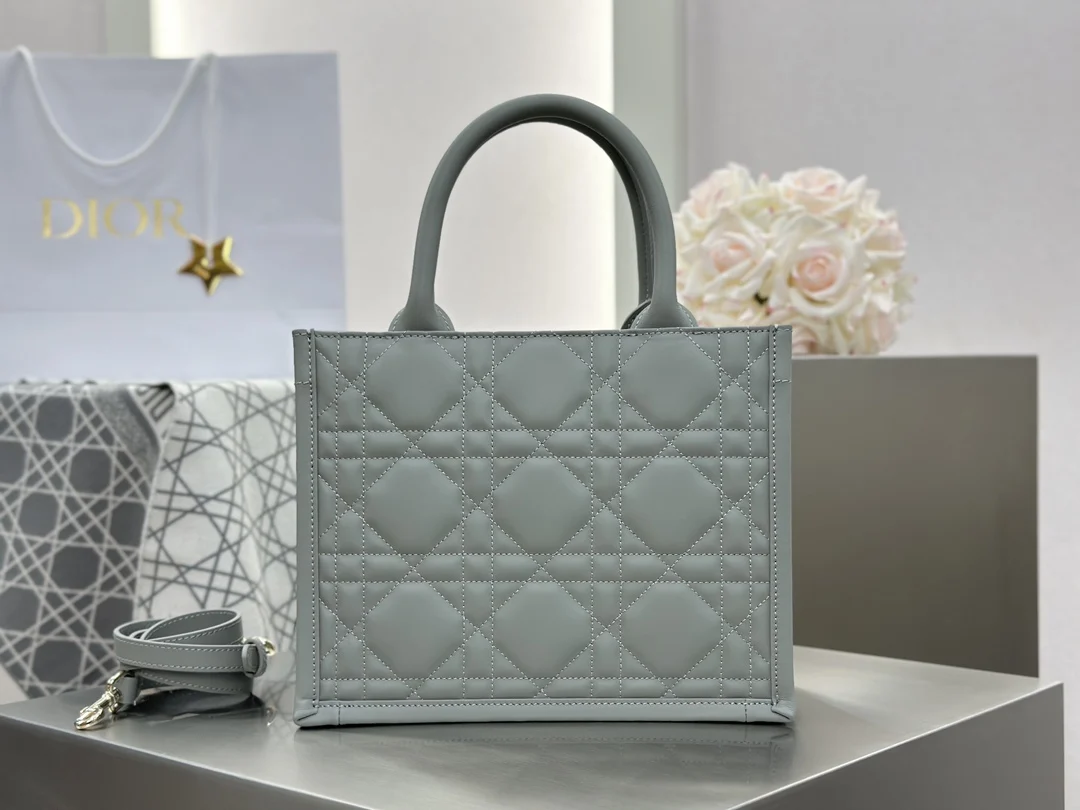 디올 스몰 북 토트백 매크로까나쥬 그레이