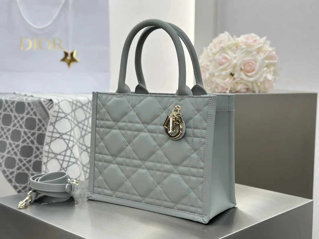 디올 스몰 북 토트백 매크로까나쥬 그레이