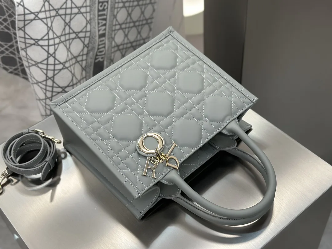 디올 스몰 북 토트백 매크로까나쥬 그레이