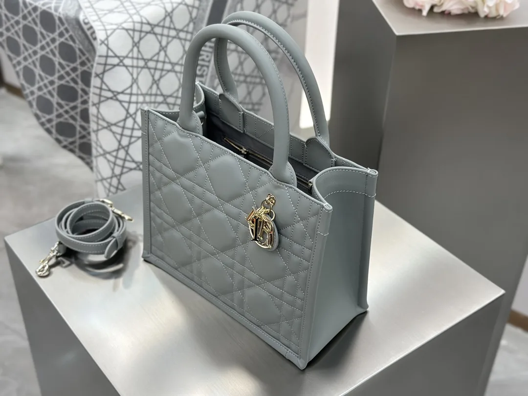 디올 스몰 북 토트백 매크로까나쥬 그레이