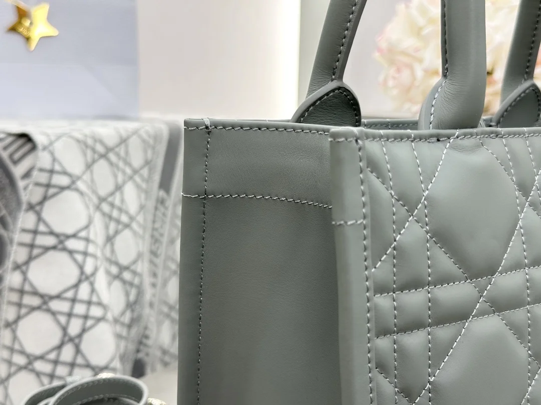 디올 스몰 북 토트백 매크로까나쥬 그레이