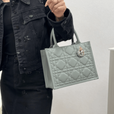 디올 스몰 북 토트백 매크로까나쥬 그레이