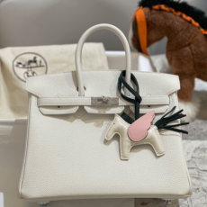 반수공 에르메스 버킨백 25 화이트 은장 토고가죽